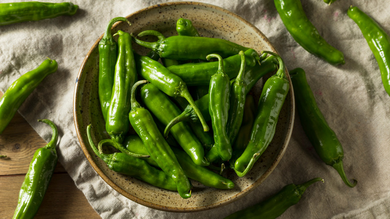 raw green shishito peppers in stone bowl