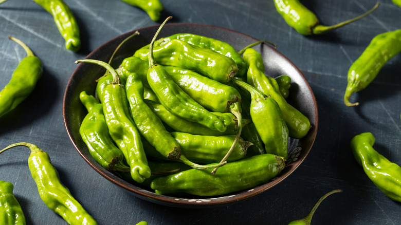 bowl of uncooked shishito peppers