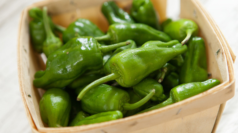 basket of shishito peppers