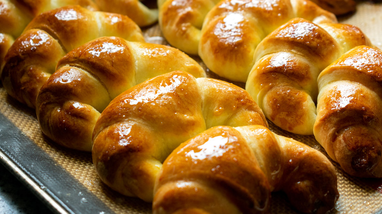 Argentinian glazed croissants