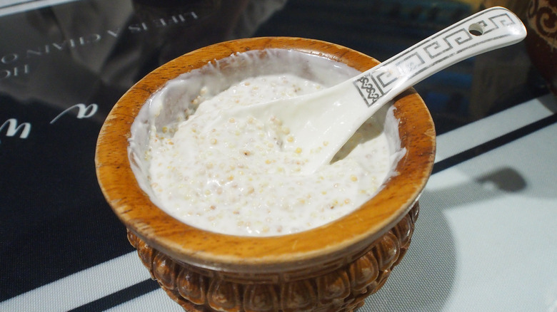 Small bowl of thick Mongolian yogurt