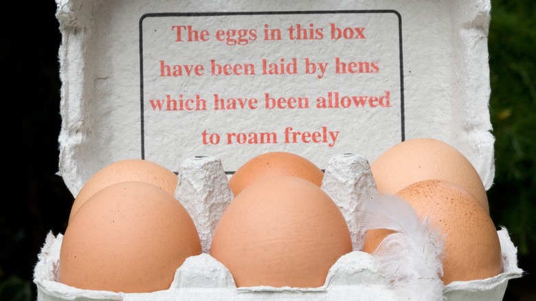 Understanding Dates on Egg Cartons –