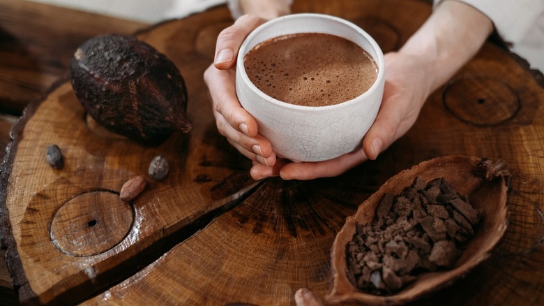 cacao pod and hot chocolate cup