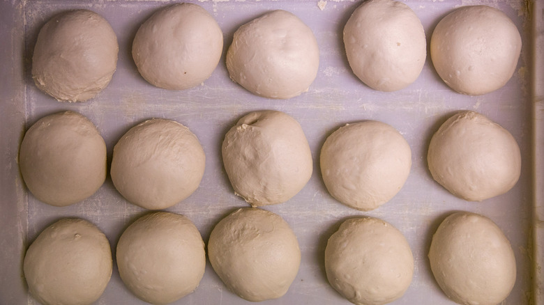 Pizza dough balls proofing