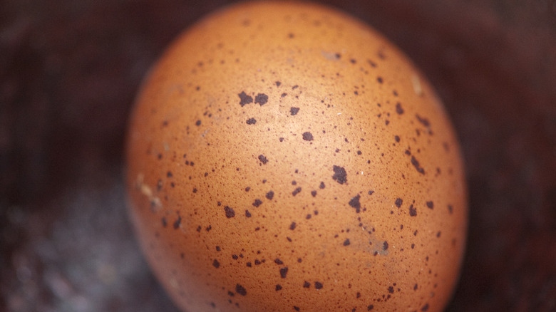Speckled egg close up