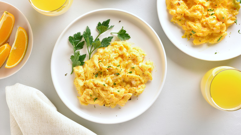 Scrambled eggs on white plate