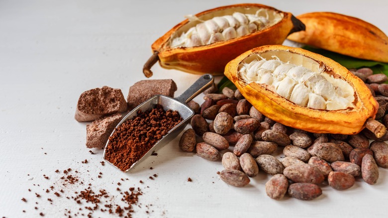 cocoa pods, dried roasted cacao, cocoa nibs
