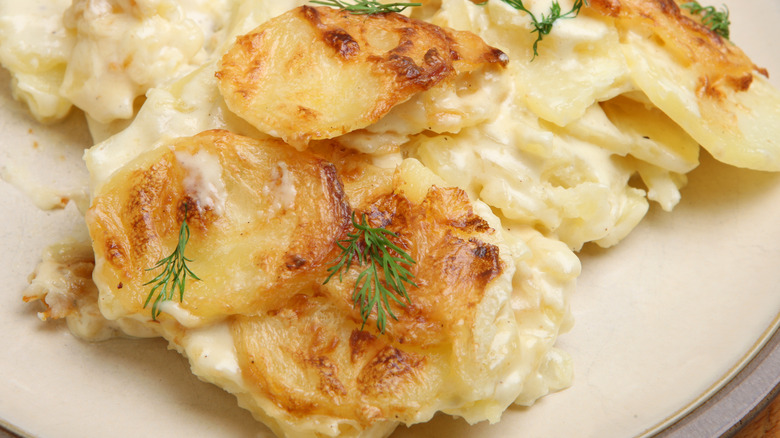 serving of dauphinoise potatoes