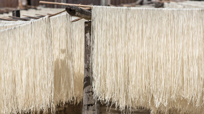 Longevity noodles on drying racks