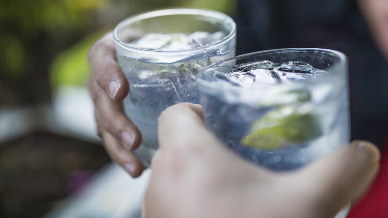 Two people toasting gin and tonics