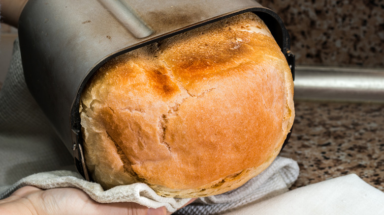 Bread in bread maker pan