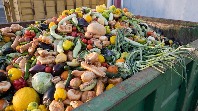 dumpster of wasted food