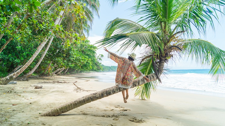 Caribbean island beach