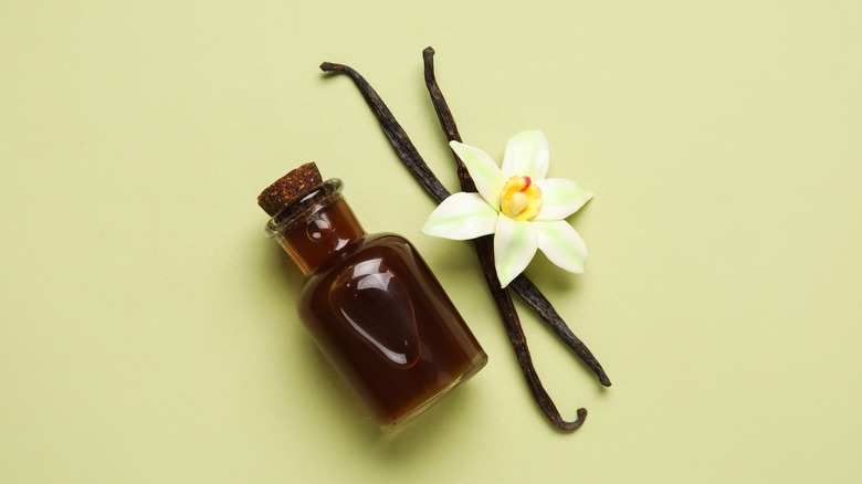 Vanilla extract in bottle, with vanilla pods and a vanilla flower, sitting on a pale yellow background