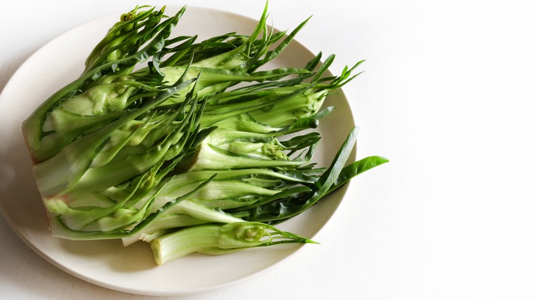 unsliced puntarelle on a plate