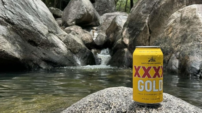 Can of XXXX Gold beer on a large stone in a rockpool