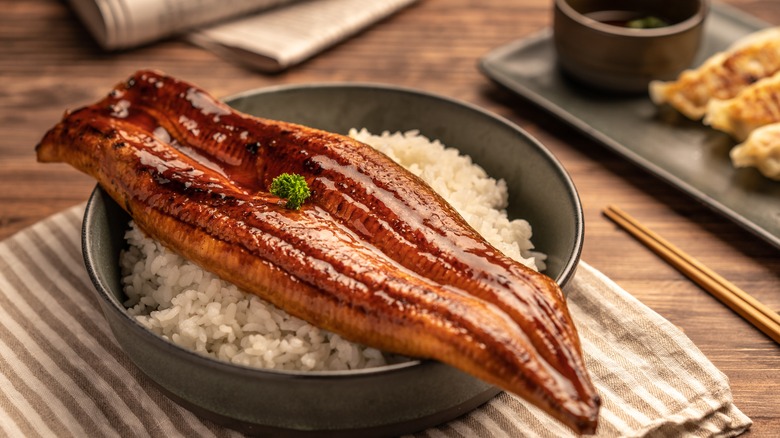 Japanese grilled eel over rice