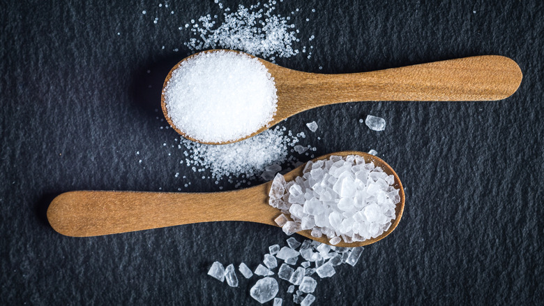 Different types of salt in wooden spoons