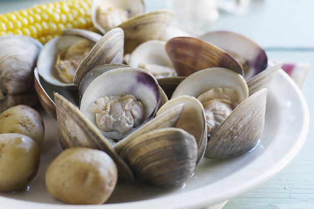 Farmed Clams