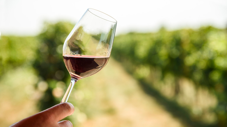 Wine glass with vineyards