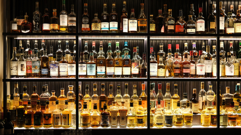 shelves of bottles of alcohol behind a bar