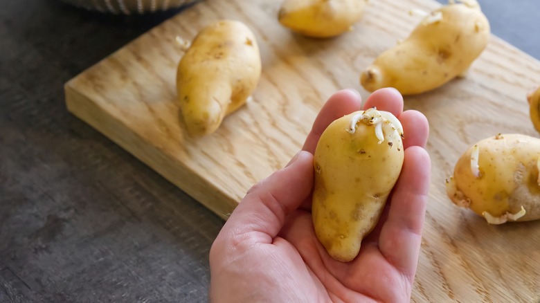 hand holding potato with eyes above cutting board