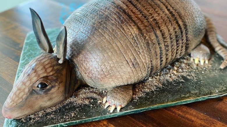 an armadillo groom's cake