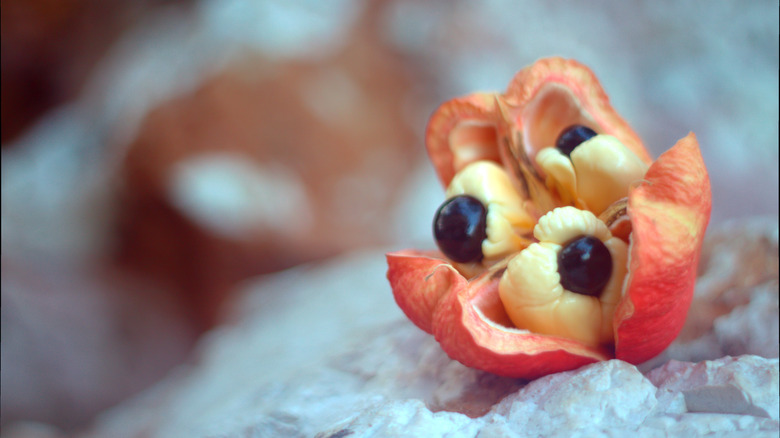 Single opened ackee