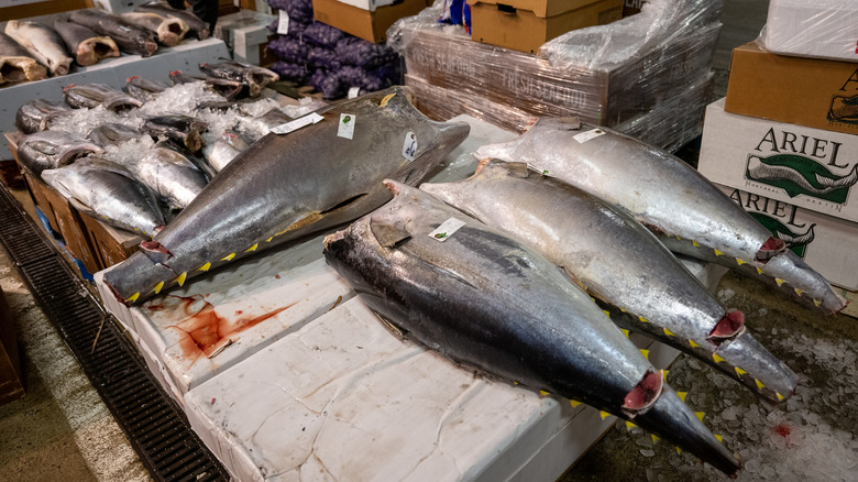 Yellowfin tuna being sold