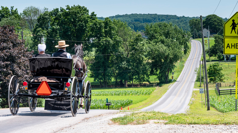 Amish couple in a buggy