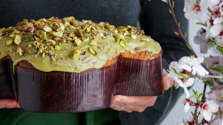 pistachio colomba