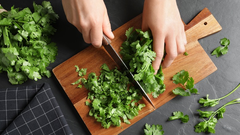 Someone cutting up cilantro