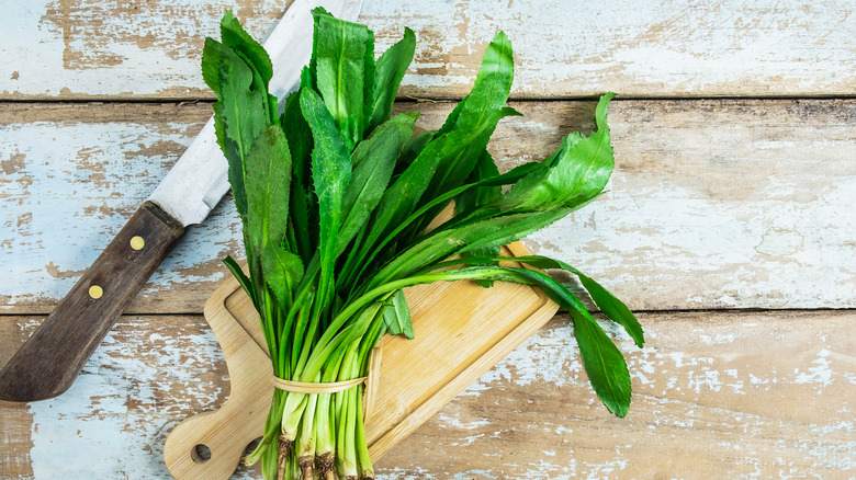 Culantro on cutting board with knife