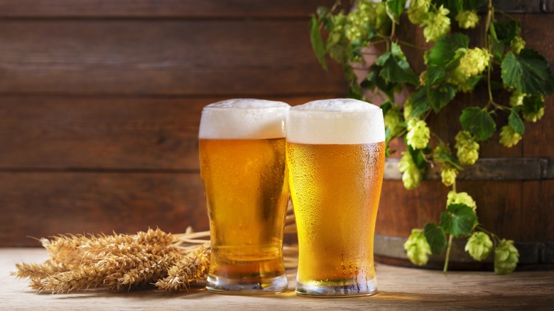 beer glasses with wheat on wooden table