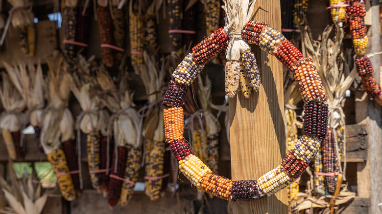 flint corn wreath hanging