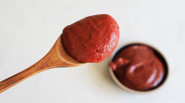 Spoonful of gochujang and dish