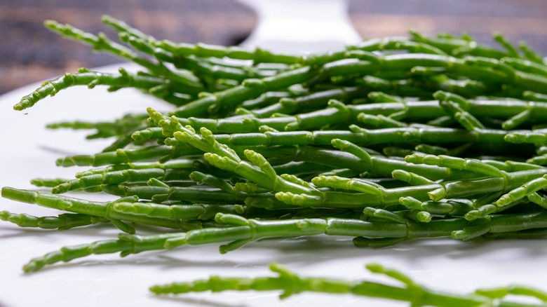 Plate of fresh Salicornia