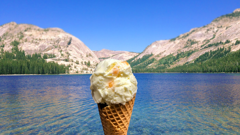 Hokey pokey ice cream cone against a New Zealand landscape