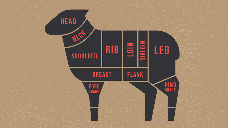 Image of cuts of lamb