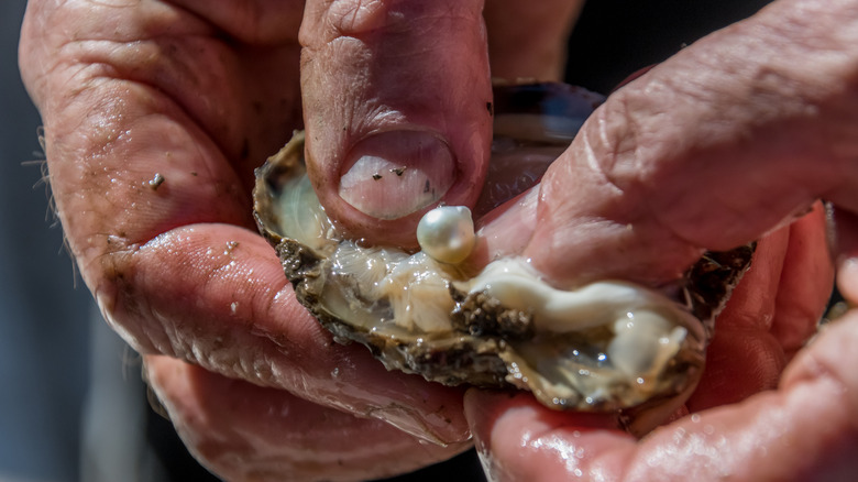 Person harvesting a pearl