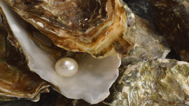 Pearl inside of an oyster