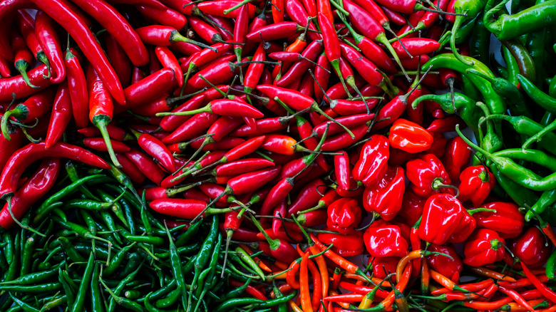 Selection of hot peppers