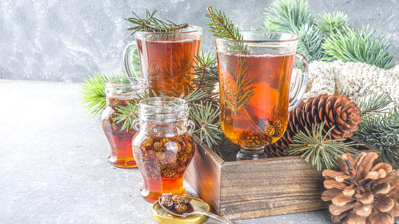 Pine cone jam in tea