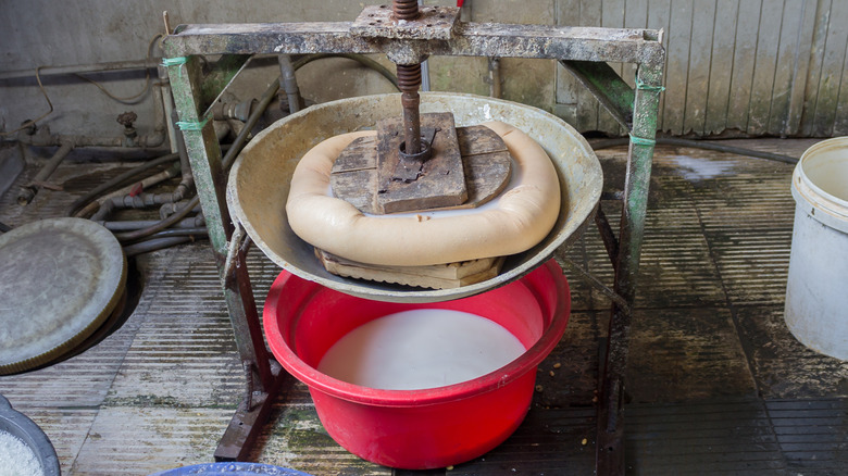 Tofu press with bucket