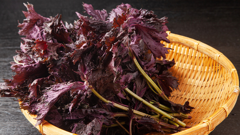 red shiso leaves in woven bowl