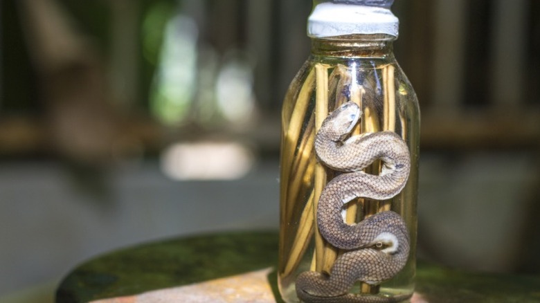 Small bottle of snake wine