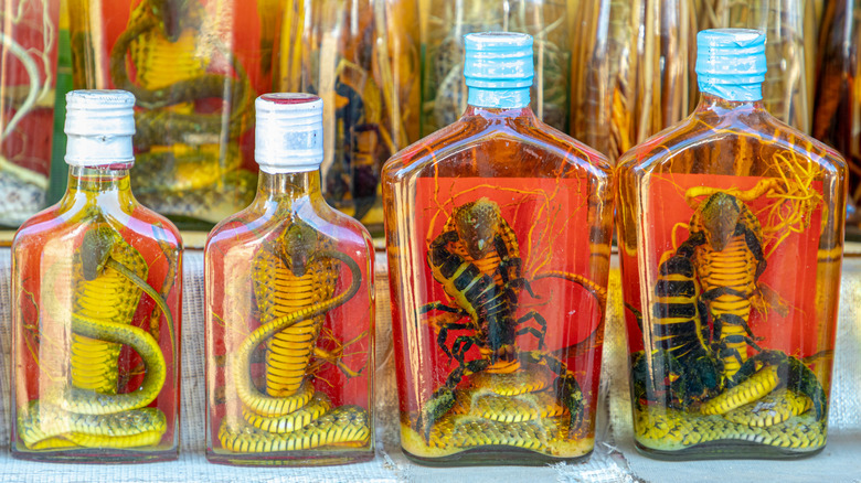 bottles of snake wine