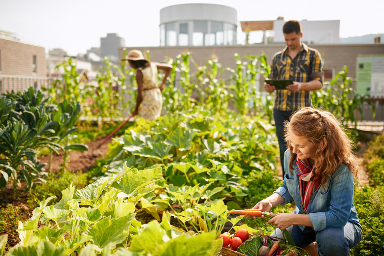 So what exactly is sustainable food?