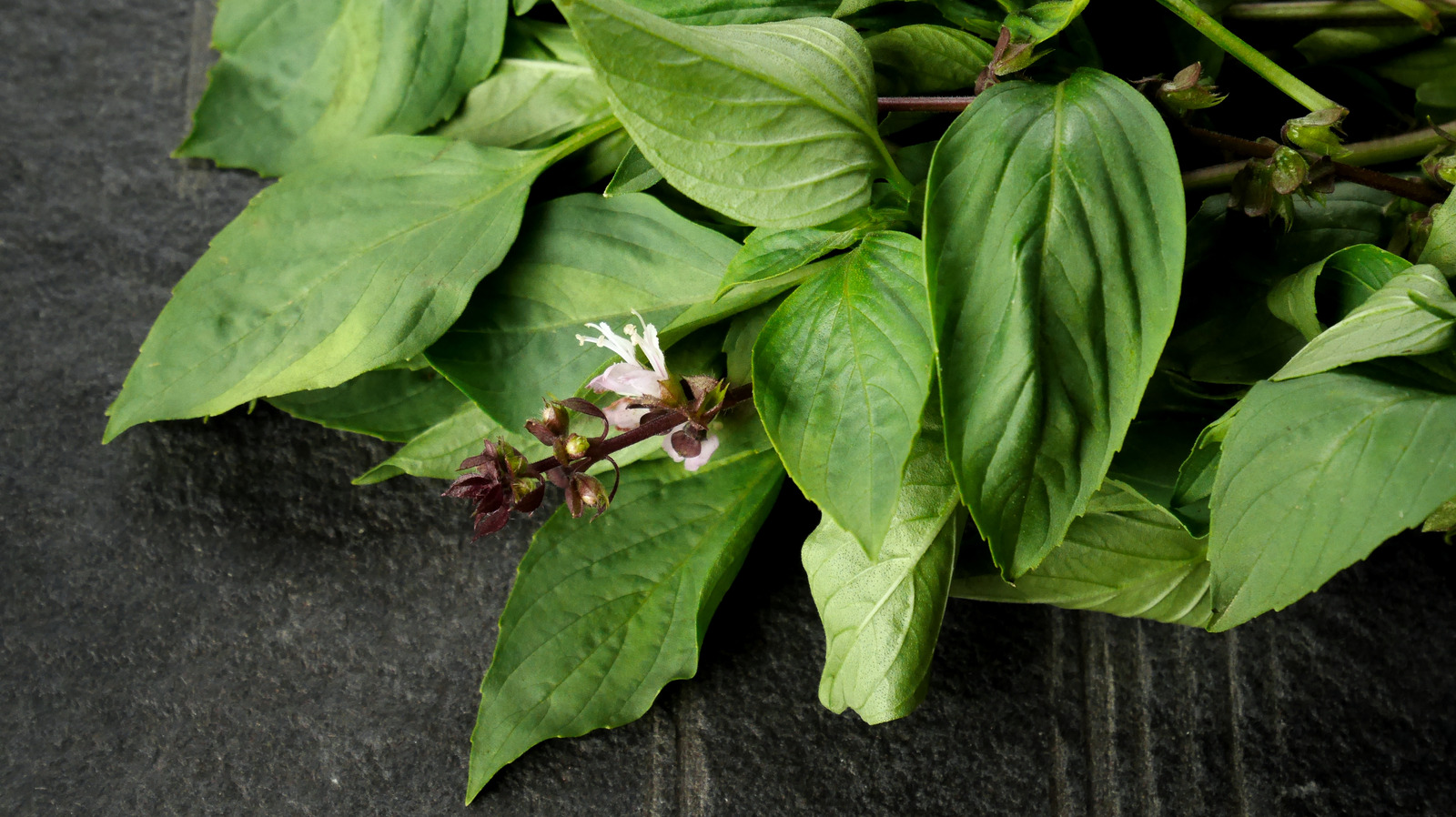 What Is Thai Basil And What Does It Taste Like