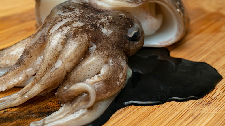 Raw squid secreting ink 